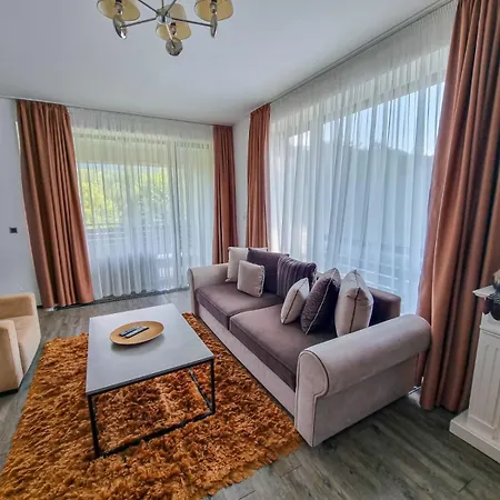 Apartment Silver Mountain G1 21 R Poiana Brasov