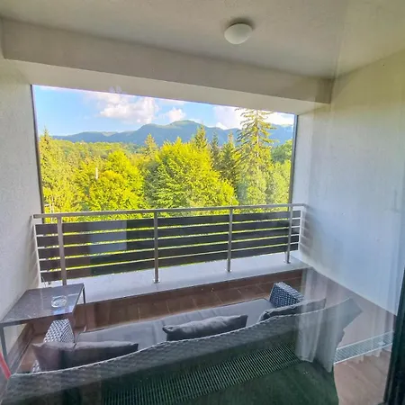 Apartment Silver Mountain G1 21 R *