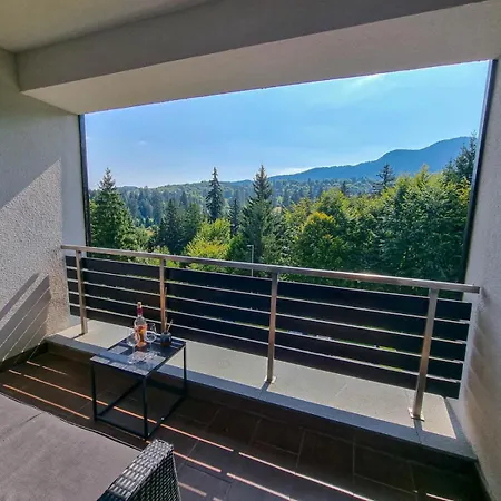 Silver Mountain G1 21 R Apartment Poiana Brasov